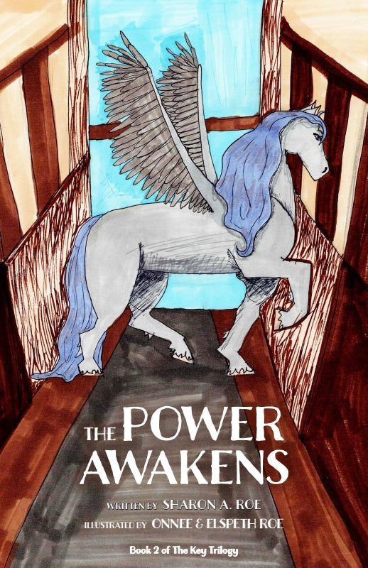 THE POWER AWAKENS: Book 2 of the Key Trilogy