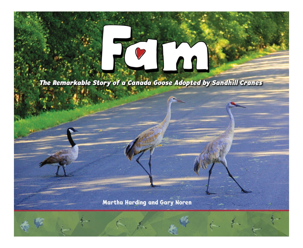 Fam: The Remarkable Story of a Canada Goose Adopted by Sandhill Cranes