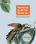Bewildered by All This Broken Sky: Poems by Anna Scotti
