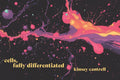 cells, fully differentiated