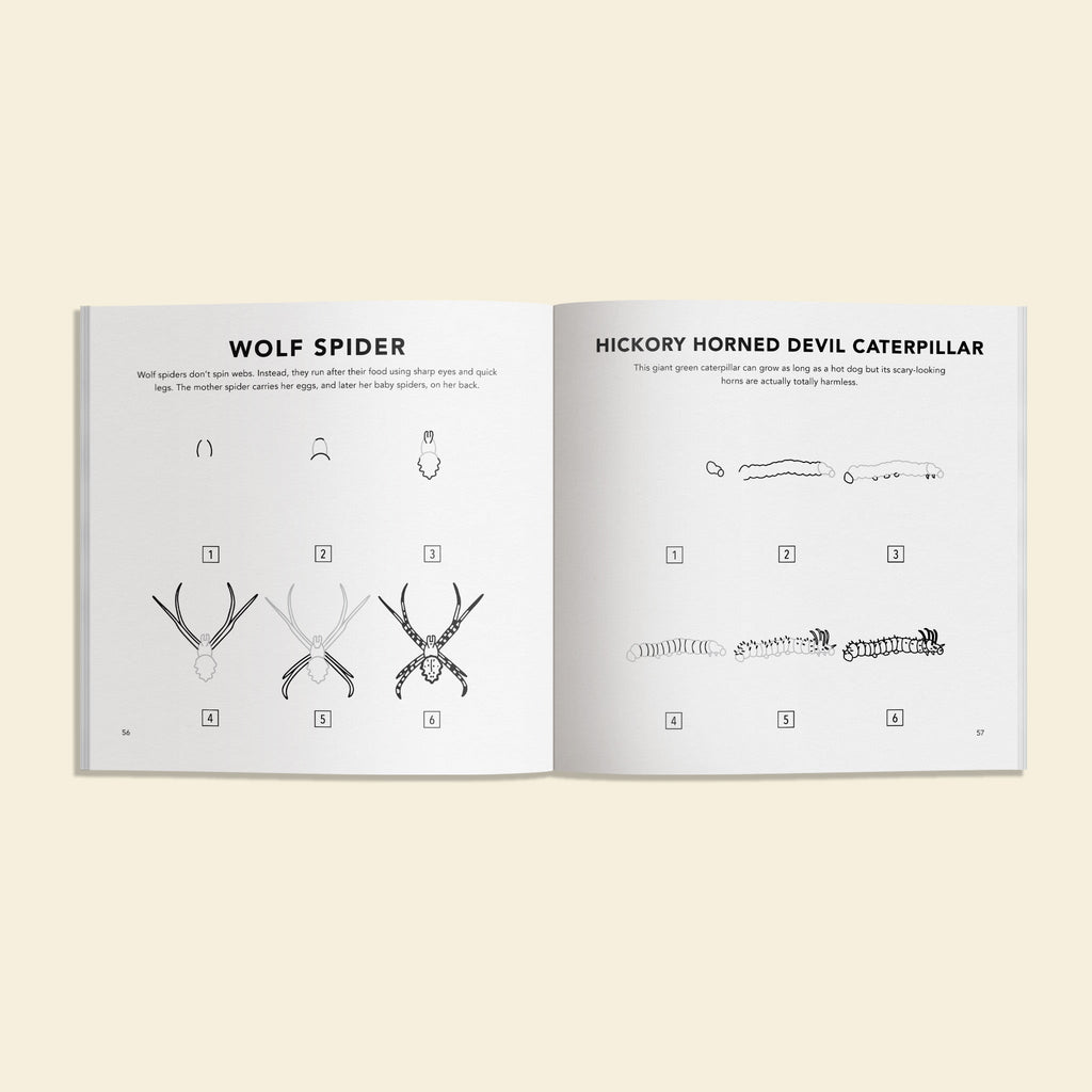 Bugs: How to Draw Books for Kids