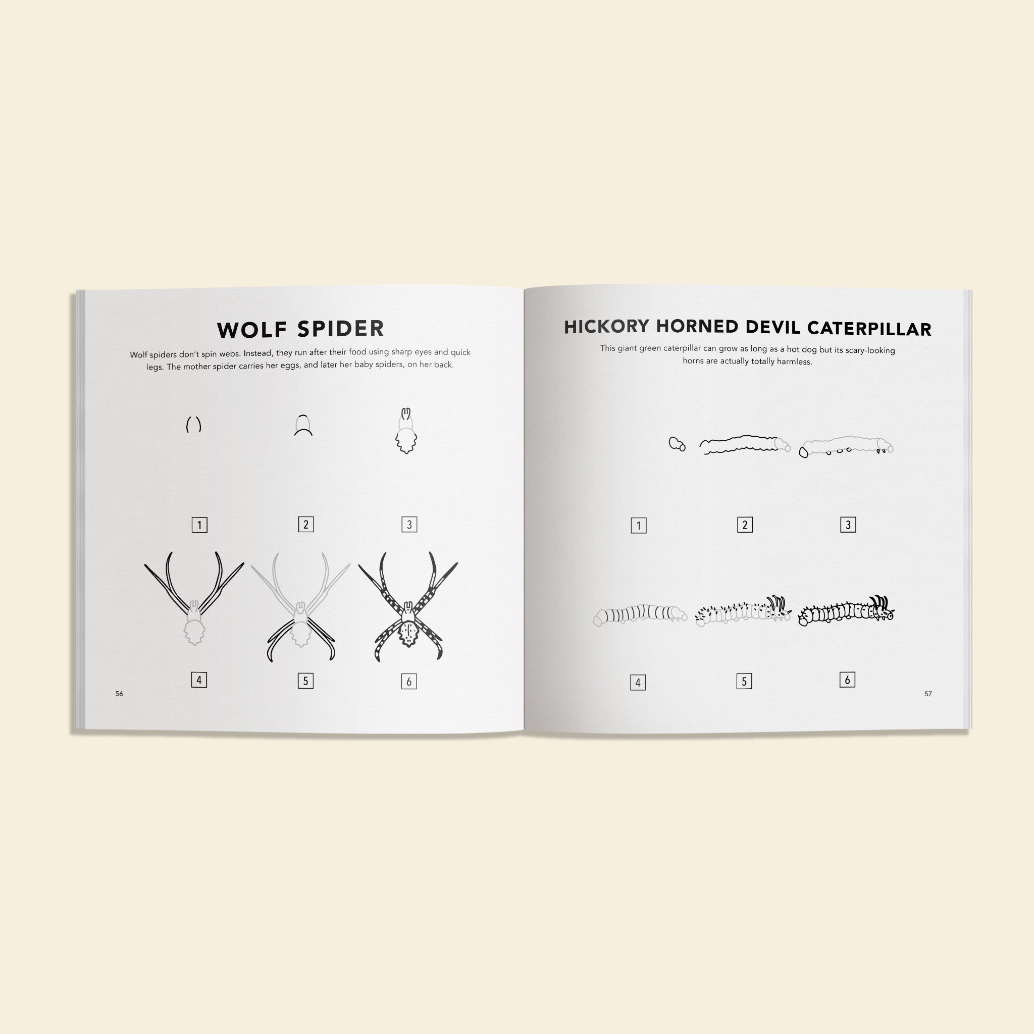 Bugs: How to Draw Books for Kids