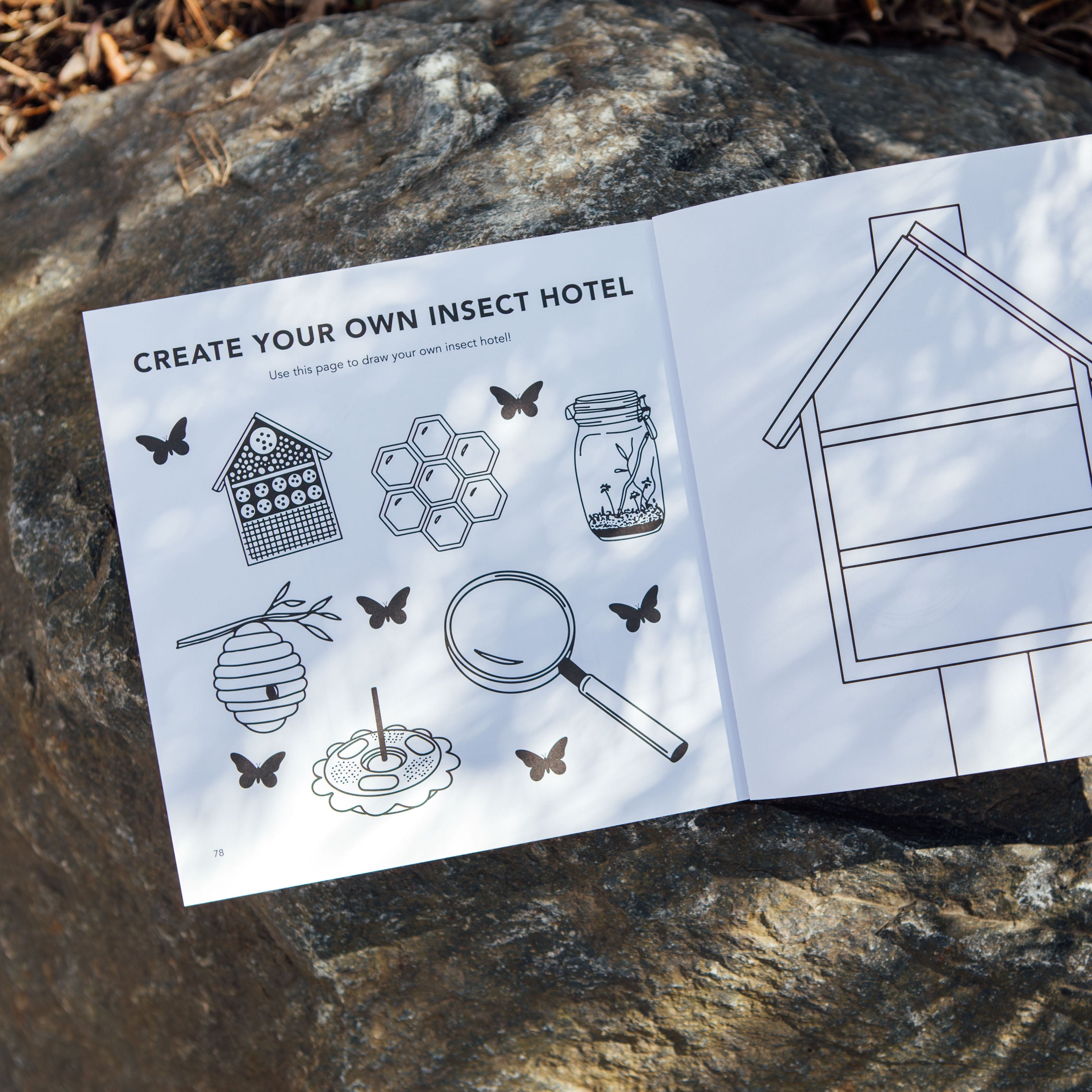 Bugs: How to Draw Books for Kids
