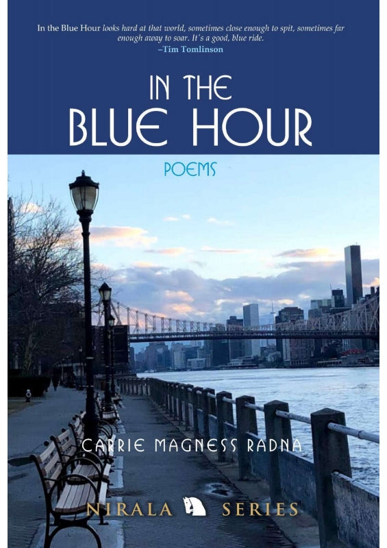 In the Blue Hour: Poems