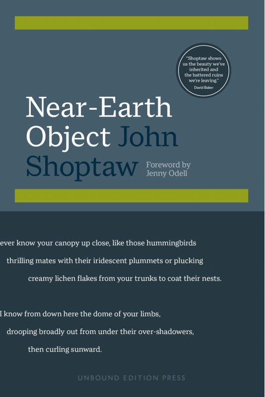 Near-Earth Object