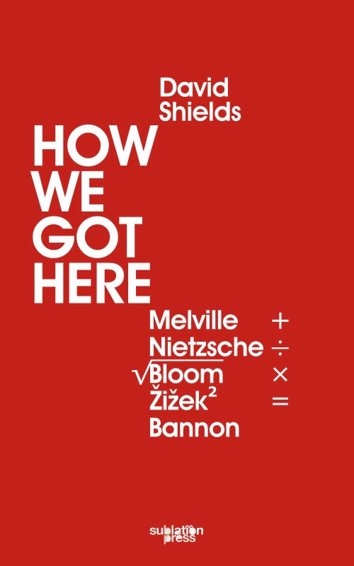 How We Got Here: Melville Plus Nietzsche Divided by the Square Root of (Allan) Bloom Times Žižek (Squared) Equals Bannon