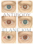 Antibody