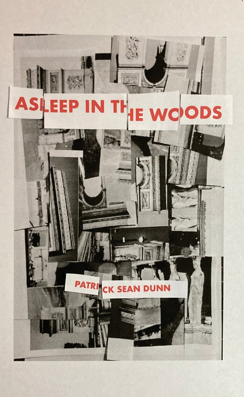 Asleep in the Woods