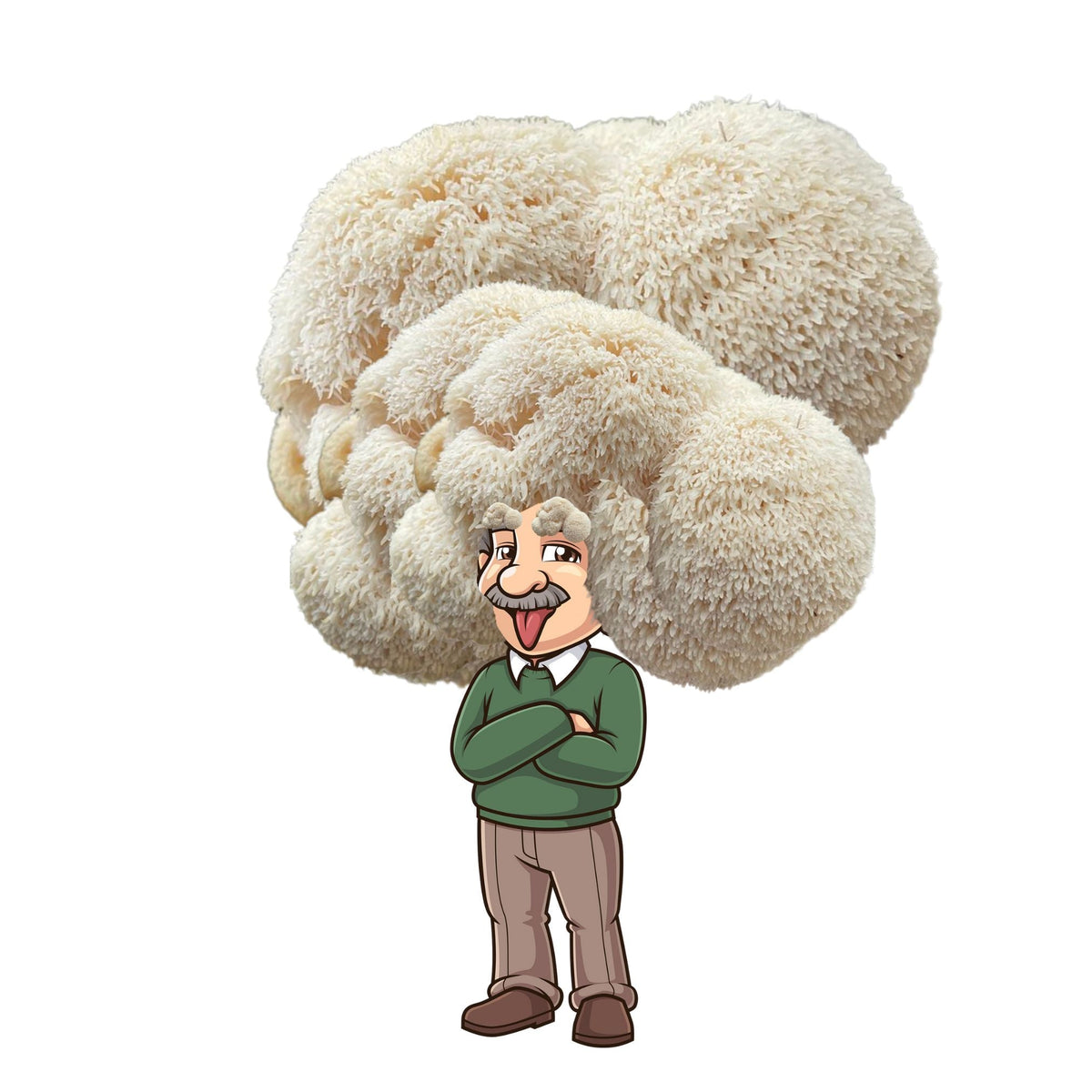Albert Fungeinstein - Lion's Mane Mushroom Grow Kit - 6.5 LBS