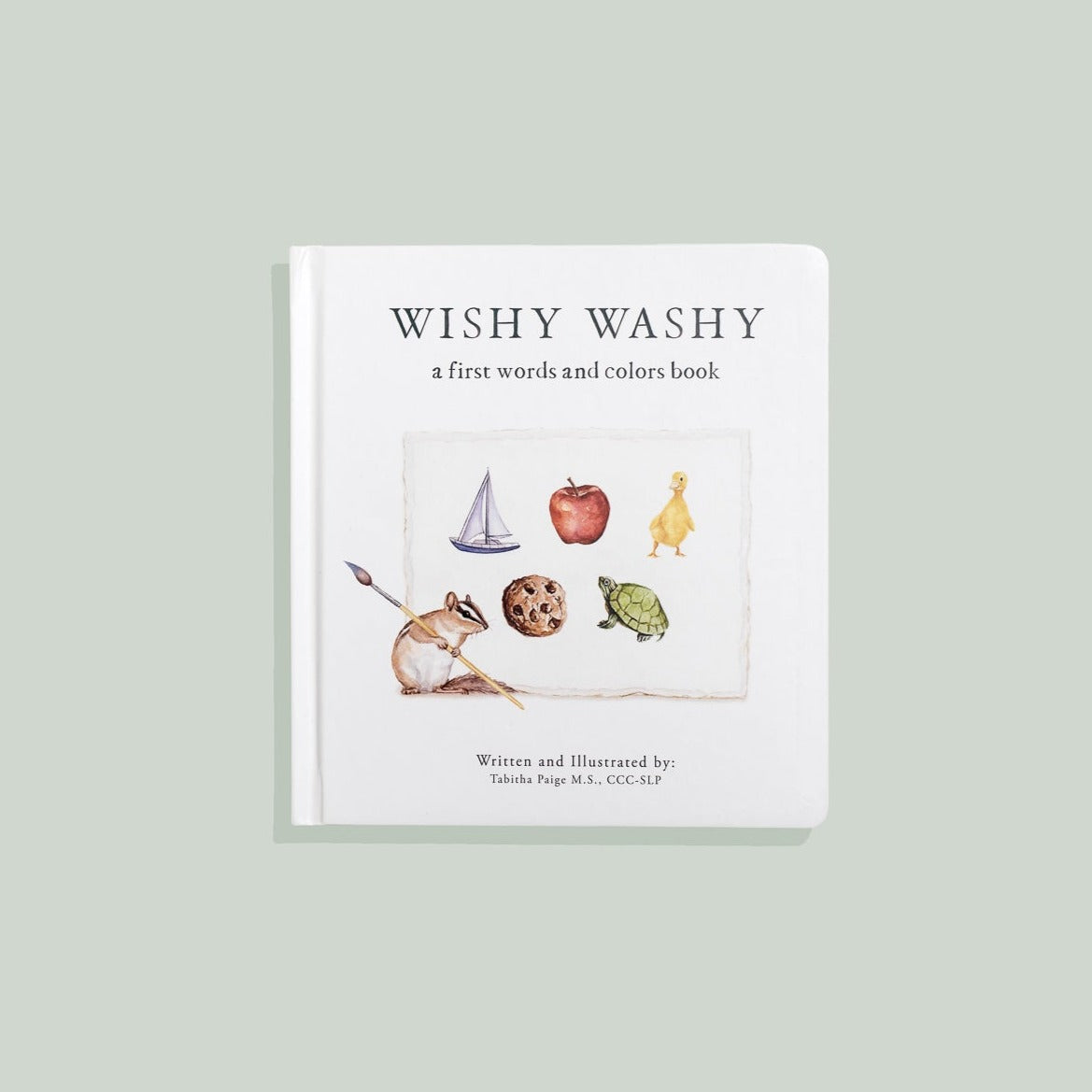 Wishy Washy Board Book of First Words & Colors