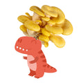 Fungisaurus Rex - Gold Oyster Mushroom Grow Kit - 6.5 LBS