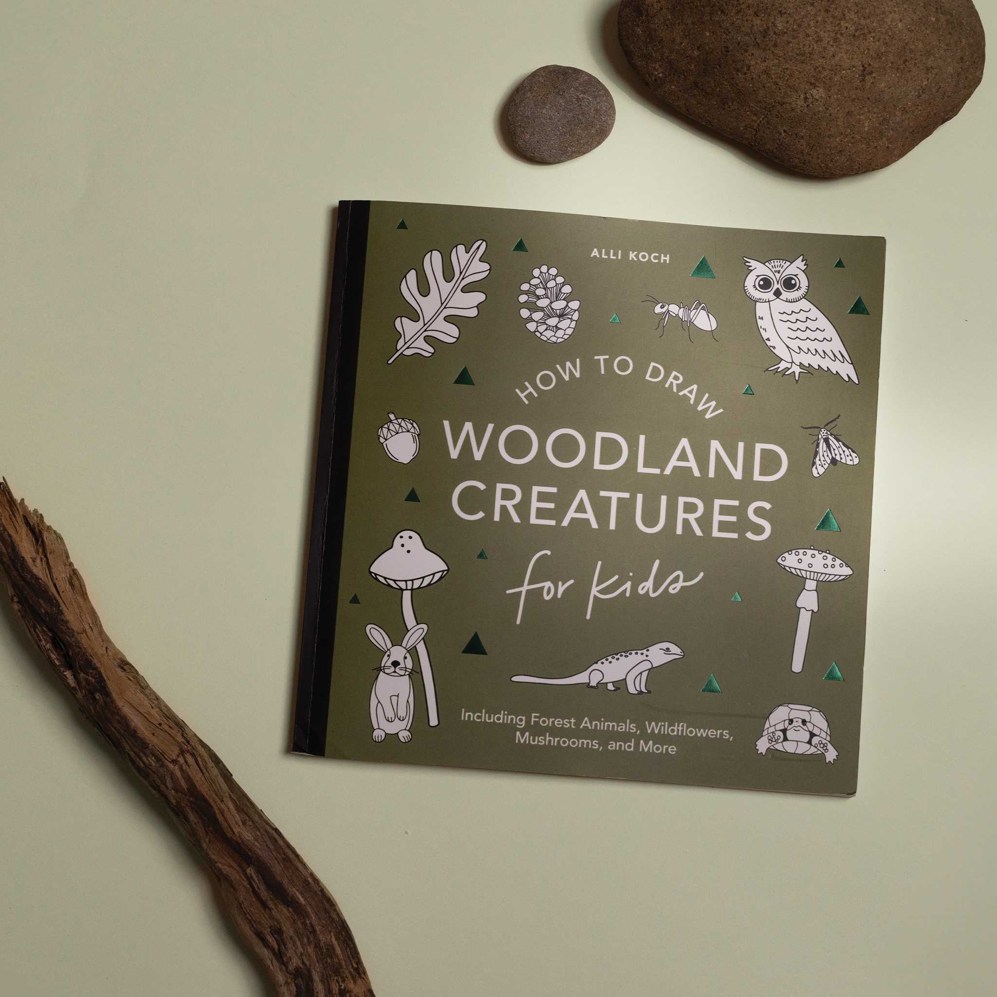 Mushrooms & Woodland Creatures: How to Draw Books for Kids