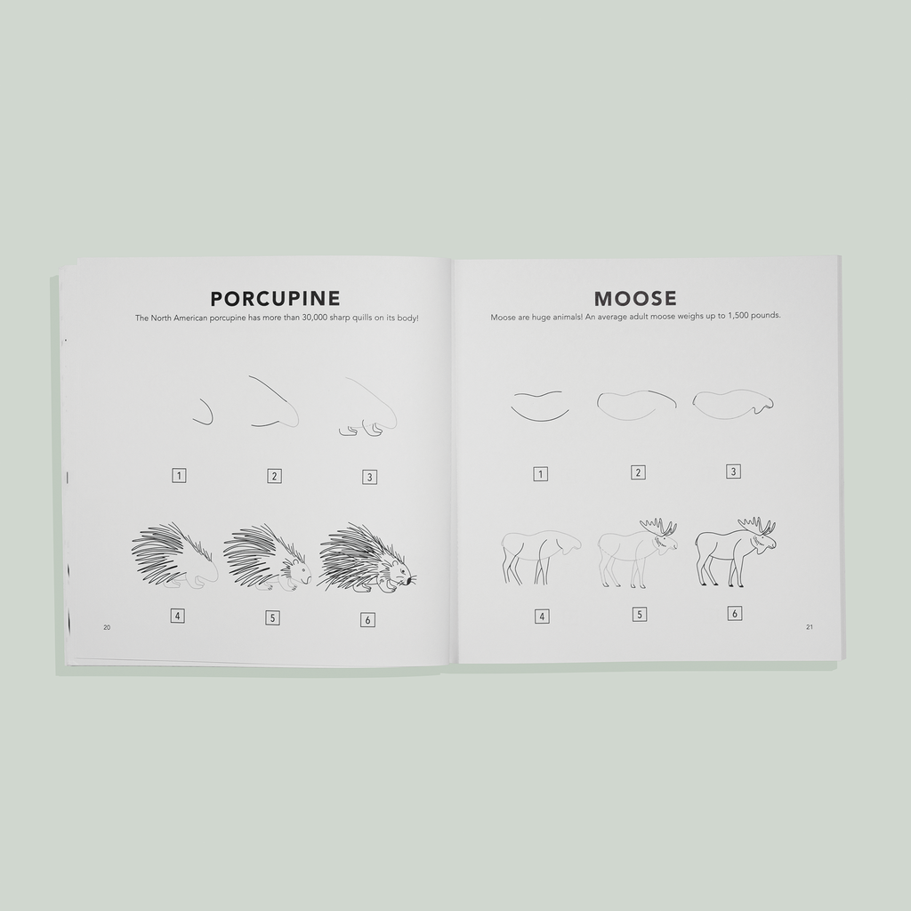 Mushrooms & Woodland Creatures: How to Draw Books for Kids