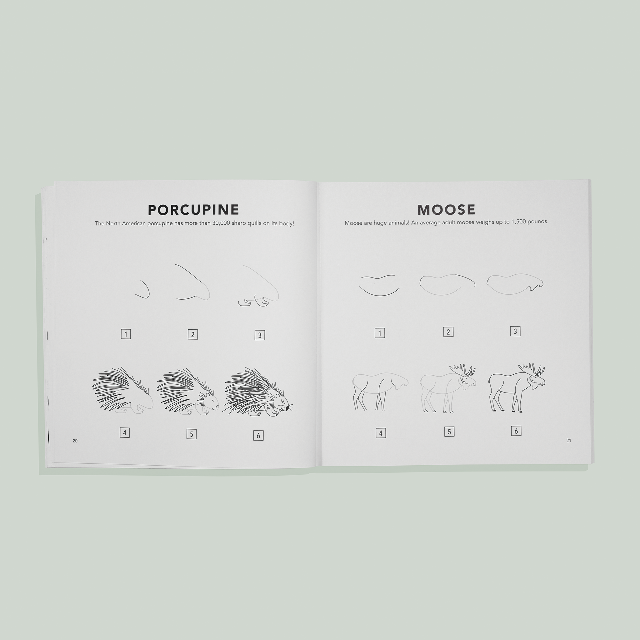 Mushrooms & Woodland Creatures: How to Draw Books for Kids