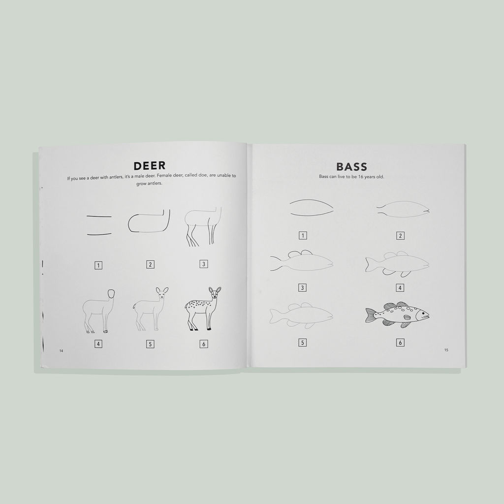 Mushrooms & Woodland Creatures: How to Draw Books for Kids