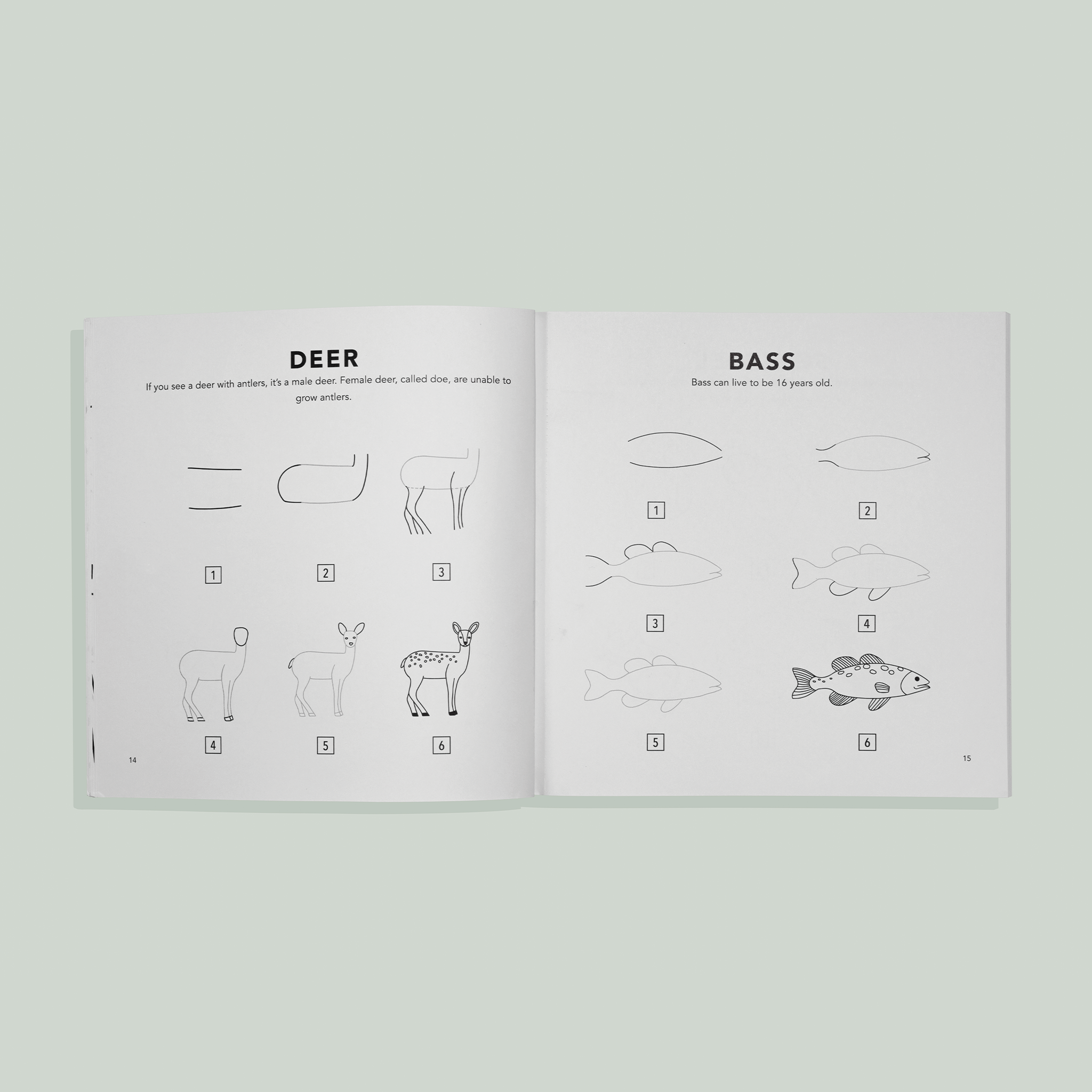 Mushrooms & Woodland Creatures: How to Draw Books for Kids