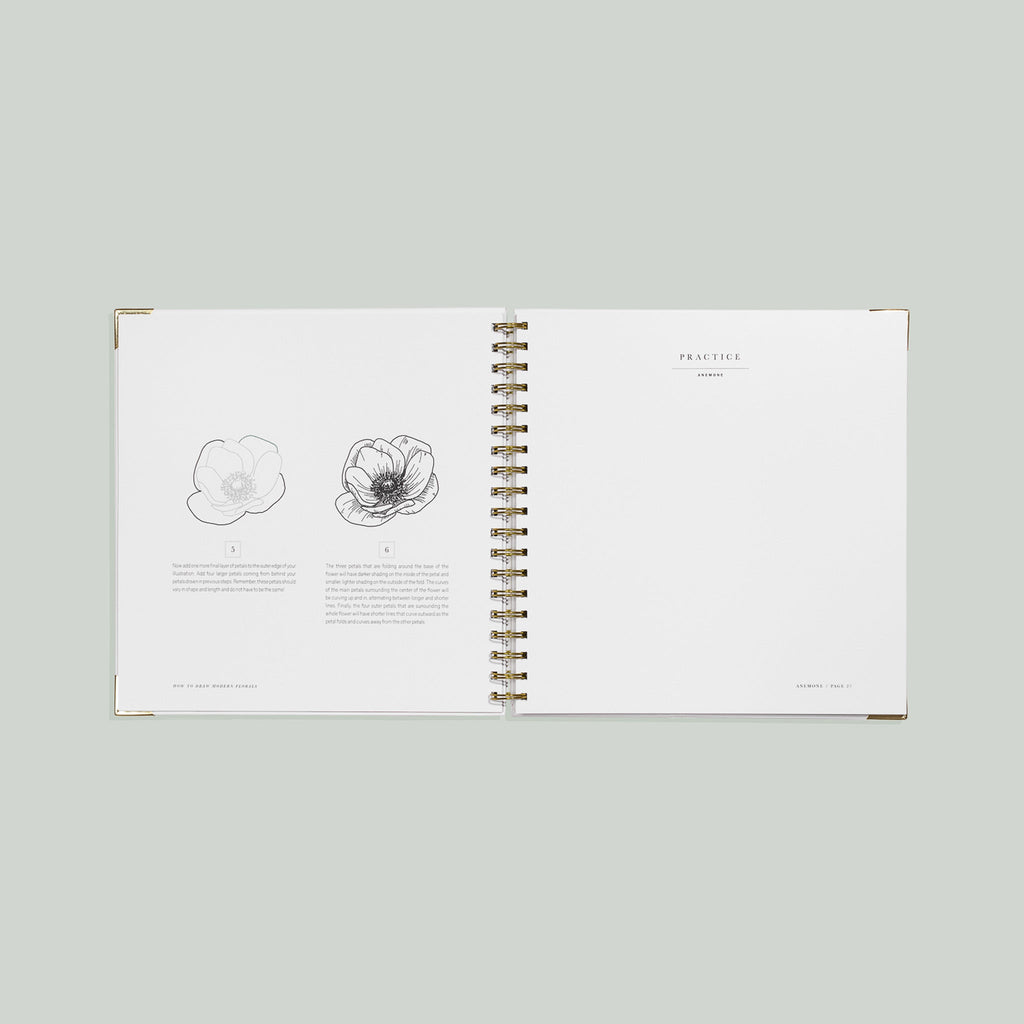 How to Draw Modern Florals