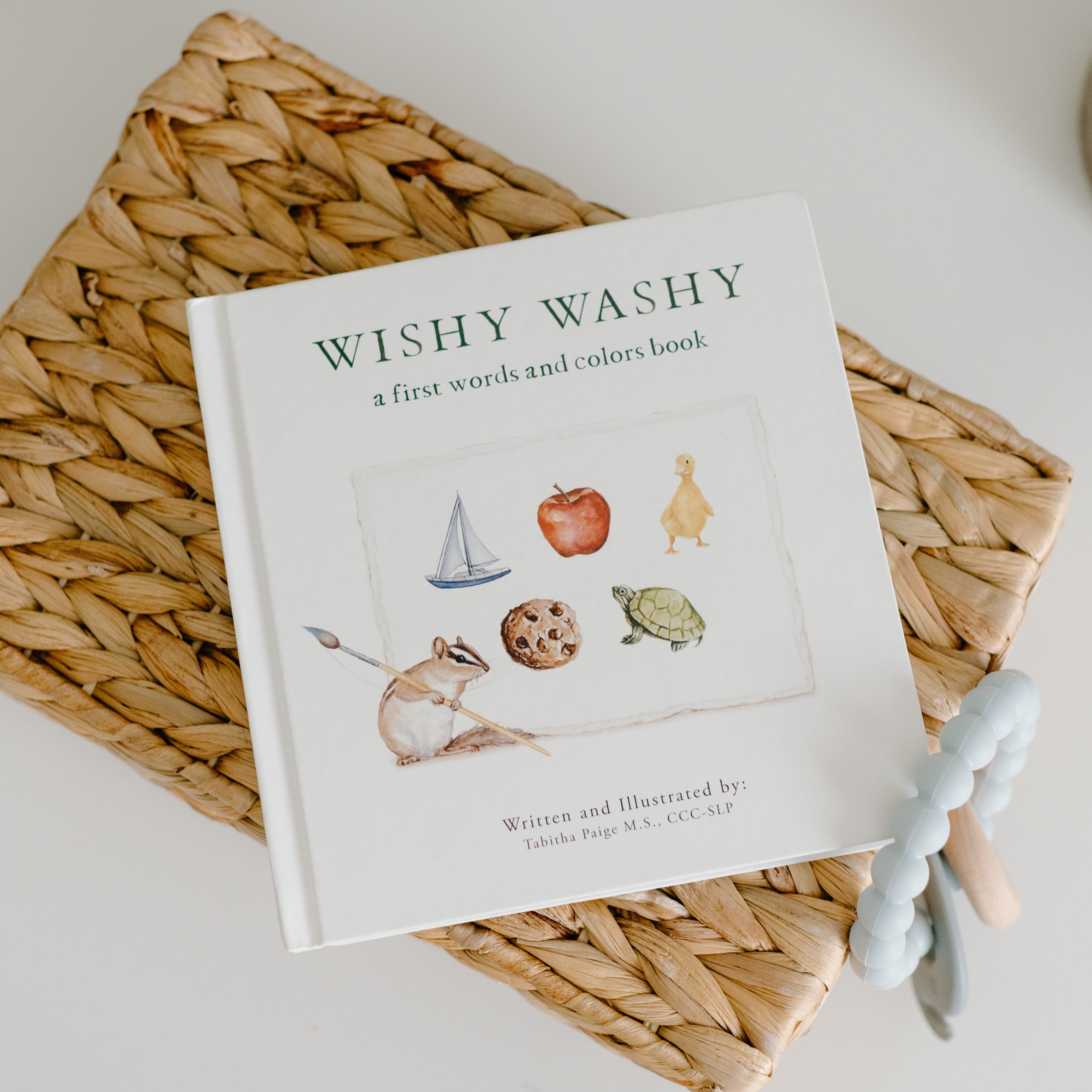 Wishy Washy Board Book of First Words & Colors