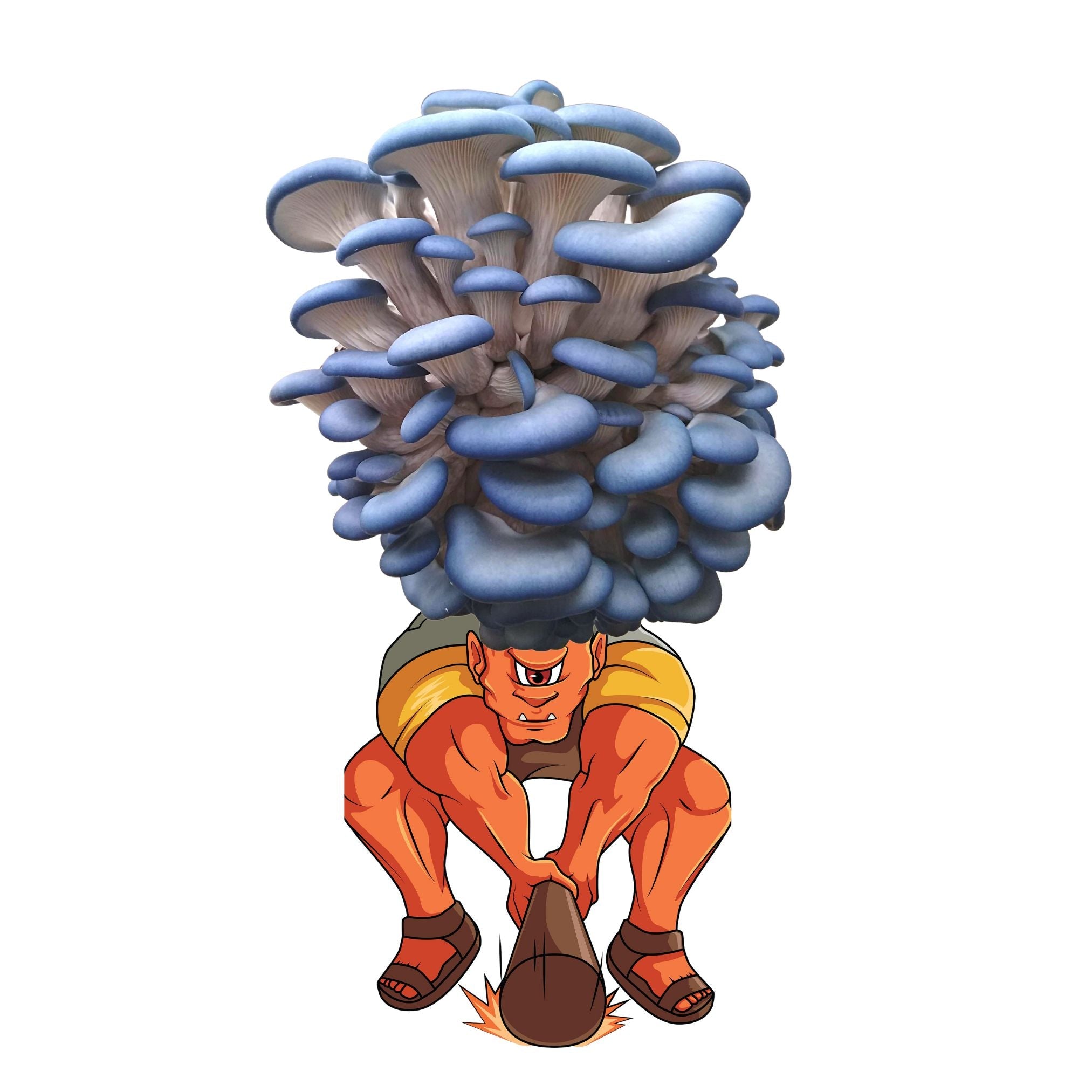 Smushrooom - Blue Oyster Mushroom Grow Kit - 6.5 LBS