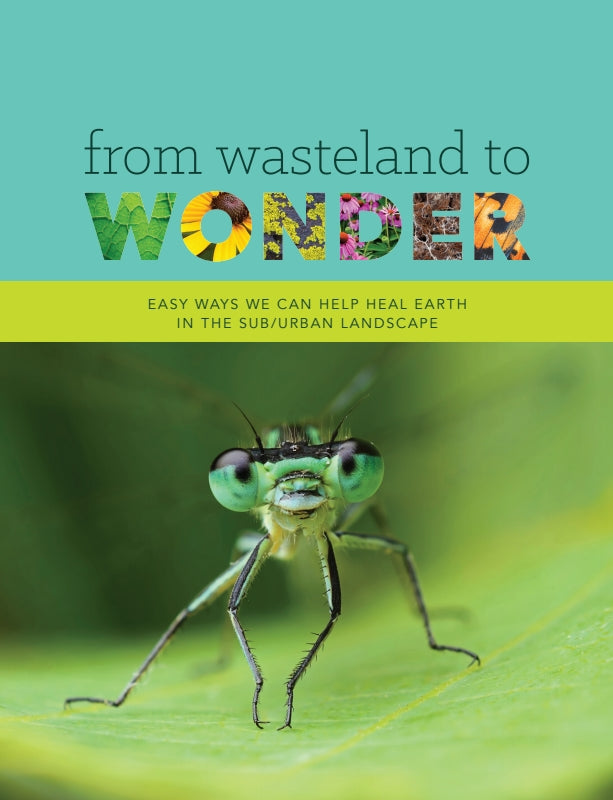From Wasteland to Wonder: Easy Ways We Can Help Heal Earth in the Sub/Urban Landscape