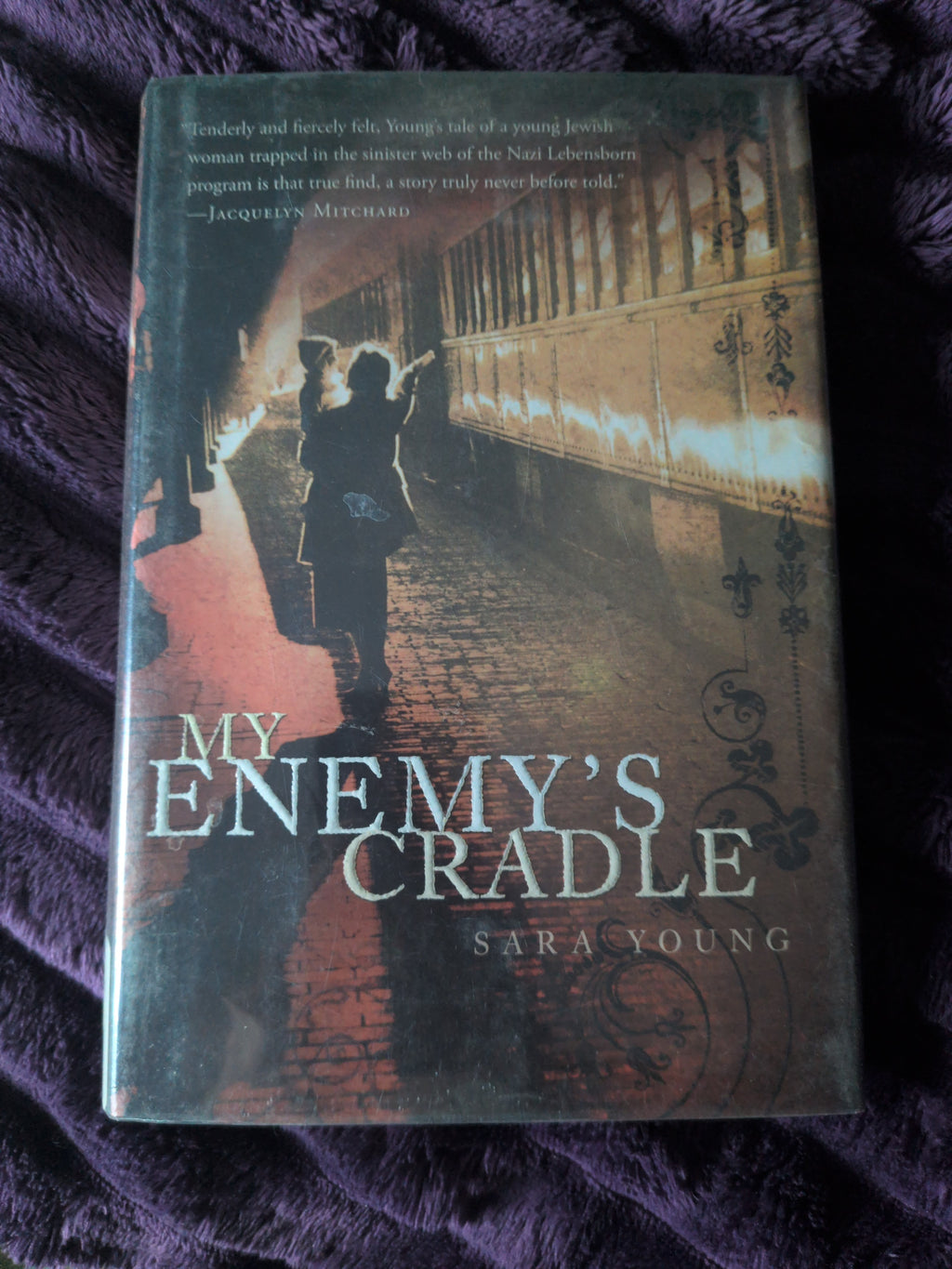My Enemy's Cradle by Sara Young