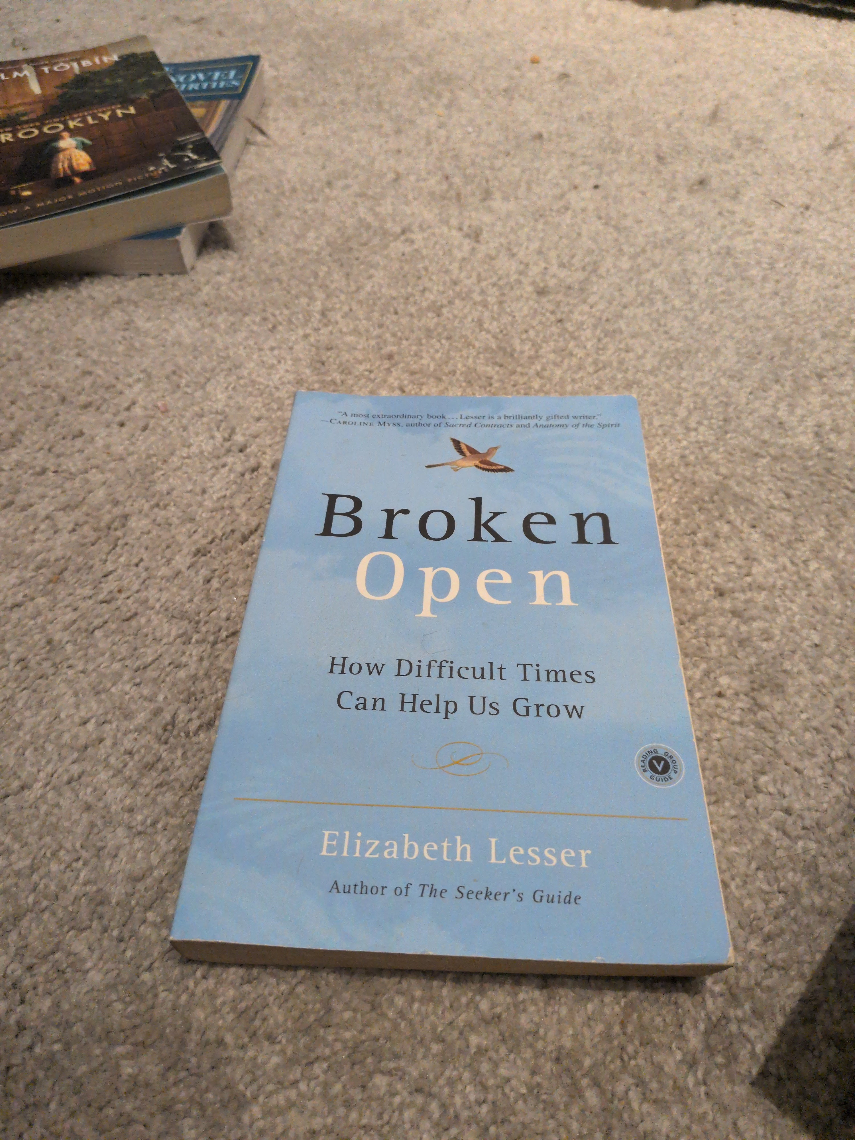 Broken Open: How Difficult Times Can Help Us Grow [Paperback] Lesser, Elizabeth
