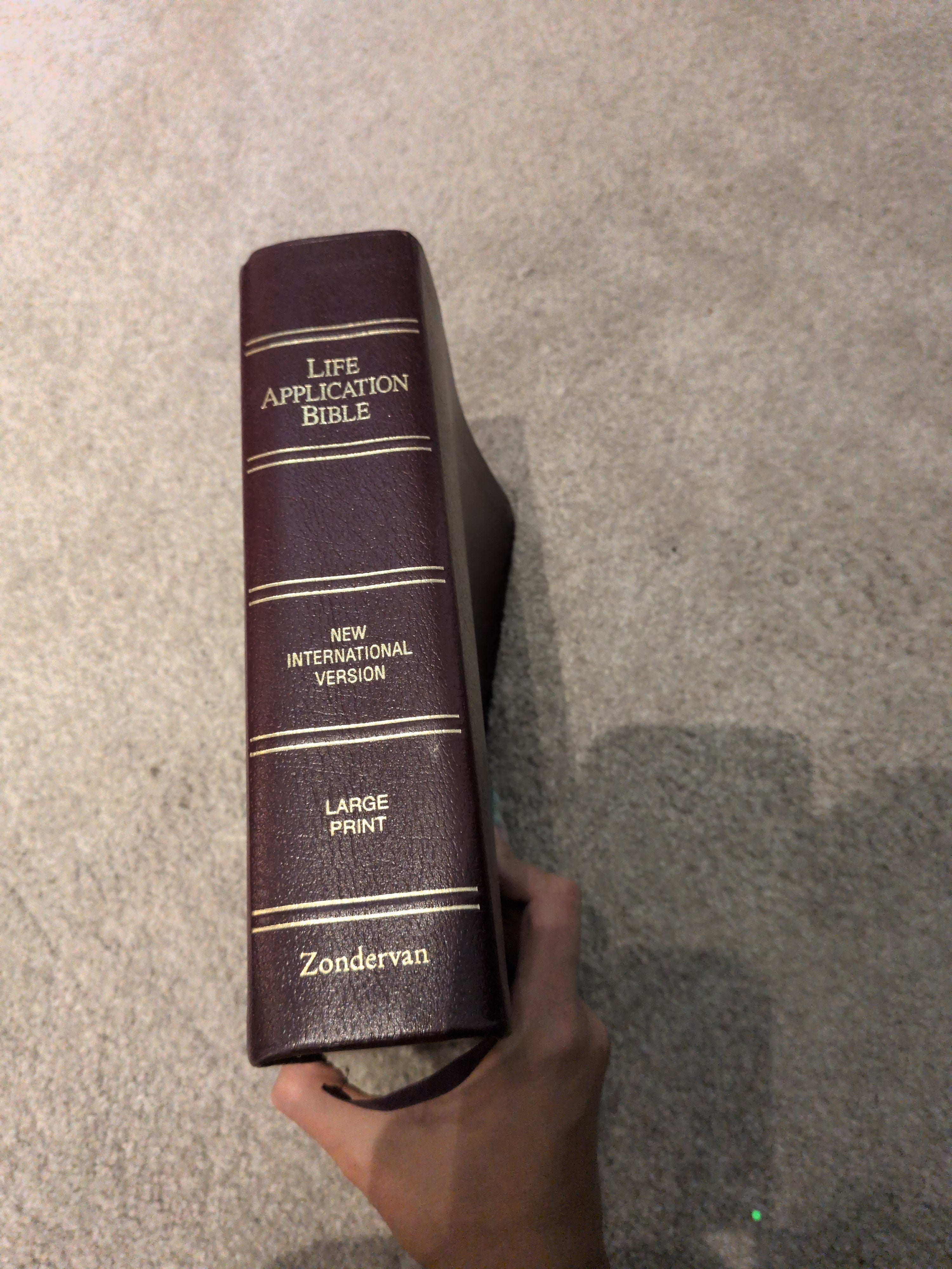 Life Application Bible New International Version Large Print 1988 Version (Leatherbound)