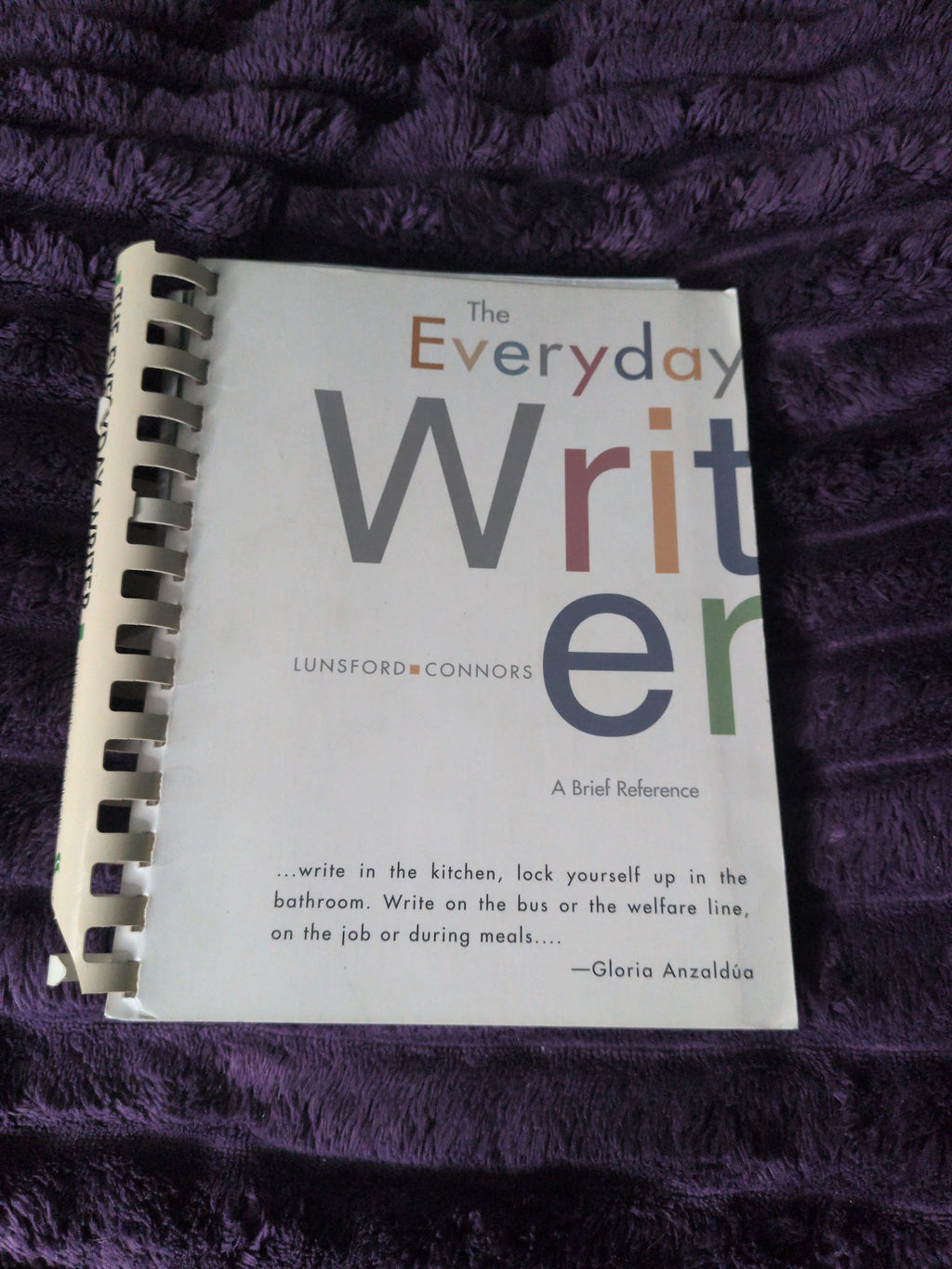 The Everyday Writer: A Brief Reference [Paperback] Andrea L. Lunsford (1997)