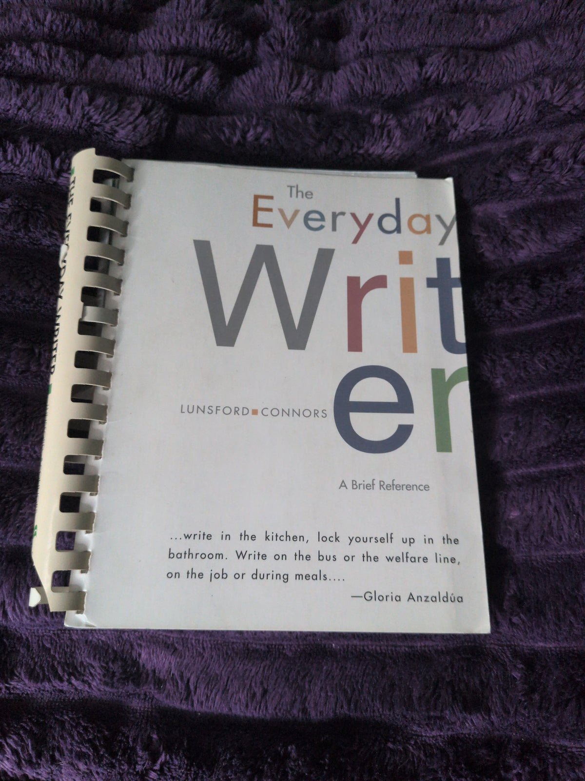 The Everyday Writer: A Brief Reference [Paperback] Andrea L. Lunsford (1997)