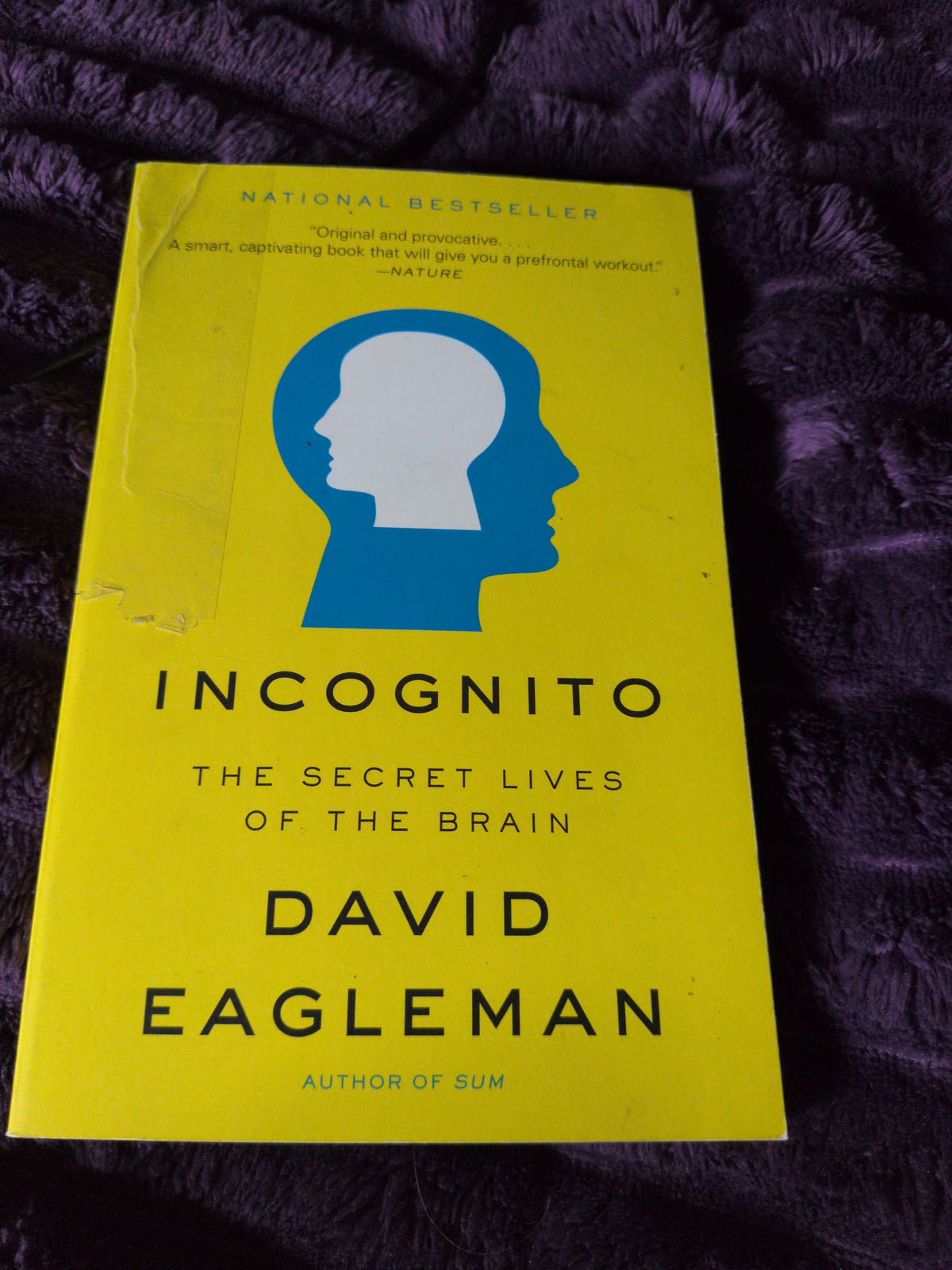 Incognito The Secret Lives of the Brain by David Eagleman