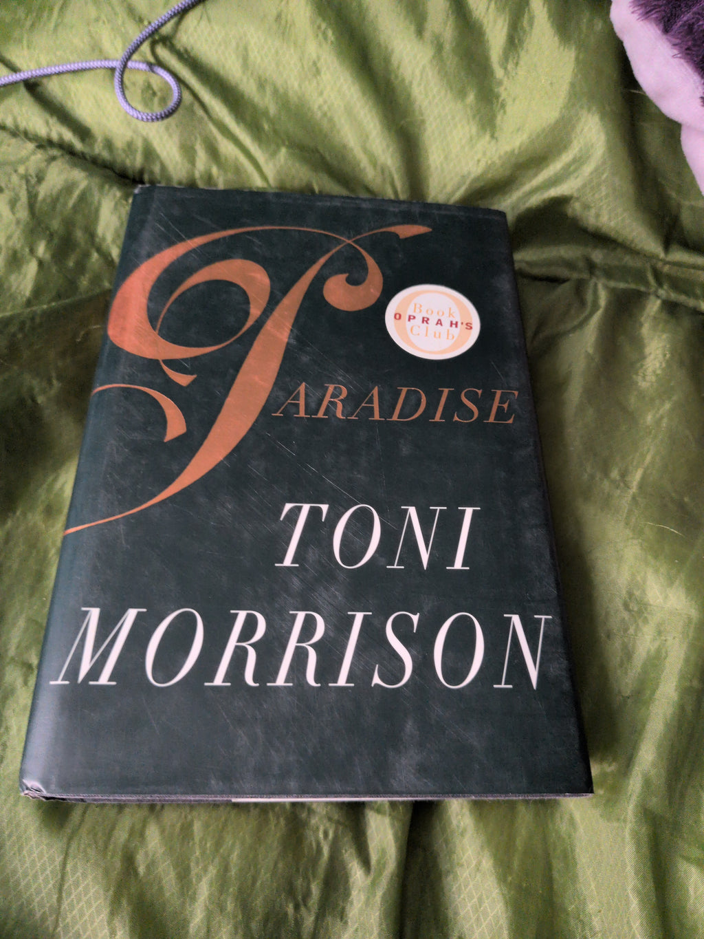 Paradise [Hardcover] Toni Morrison